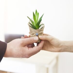 Gifting Plants