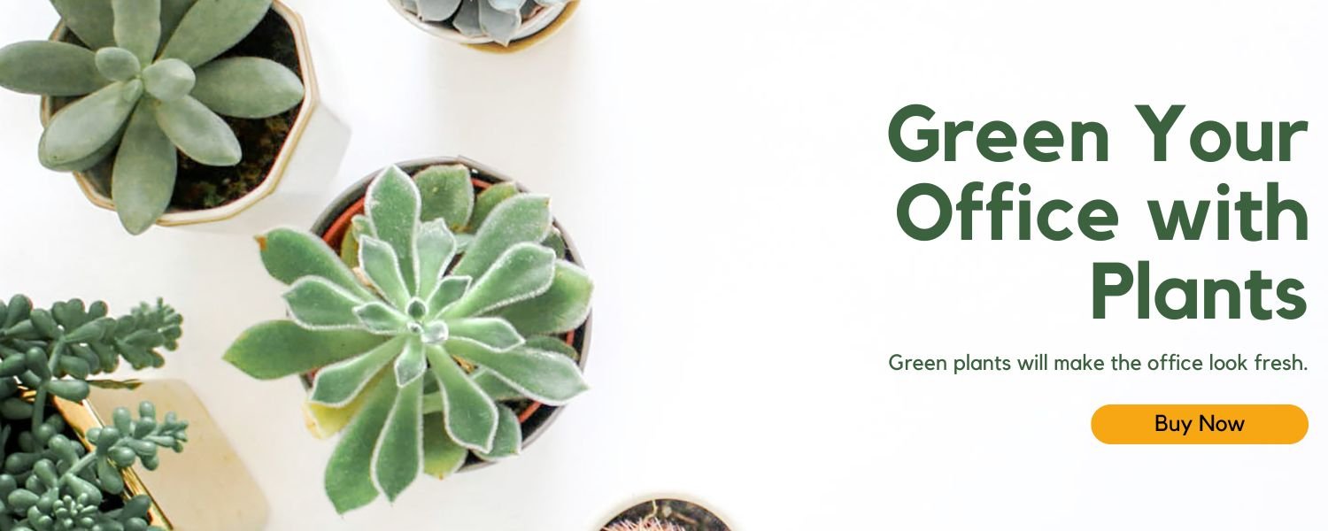 green ur office