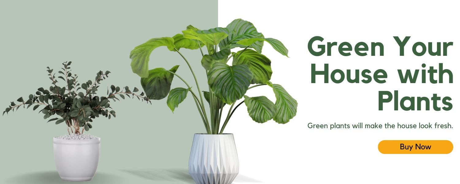 green your house...